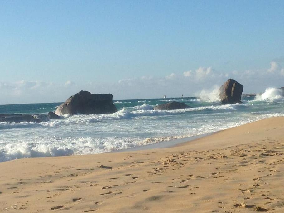 Cap Ocean-Studio Capbreton Bagian luar foto